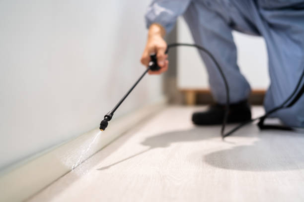 Licensed Termite Control service in New Castle, DE - Show Me Pest Control