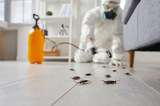 Commercial Kitchen Cockroach Control in New Castle